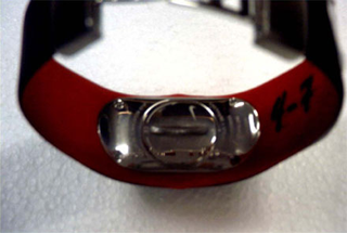 Illustration for article titled Nike Amp+ iPod Watch Appears on FCC Website, More Photos Surface
